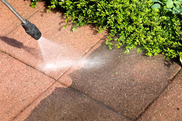 Best House Pressure Washing  in Moncks Corner, SC